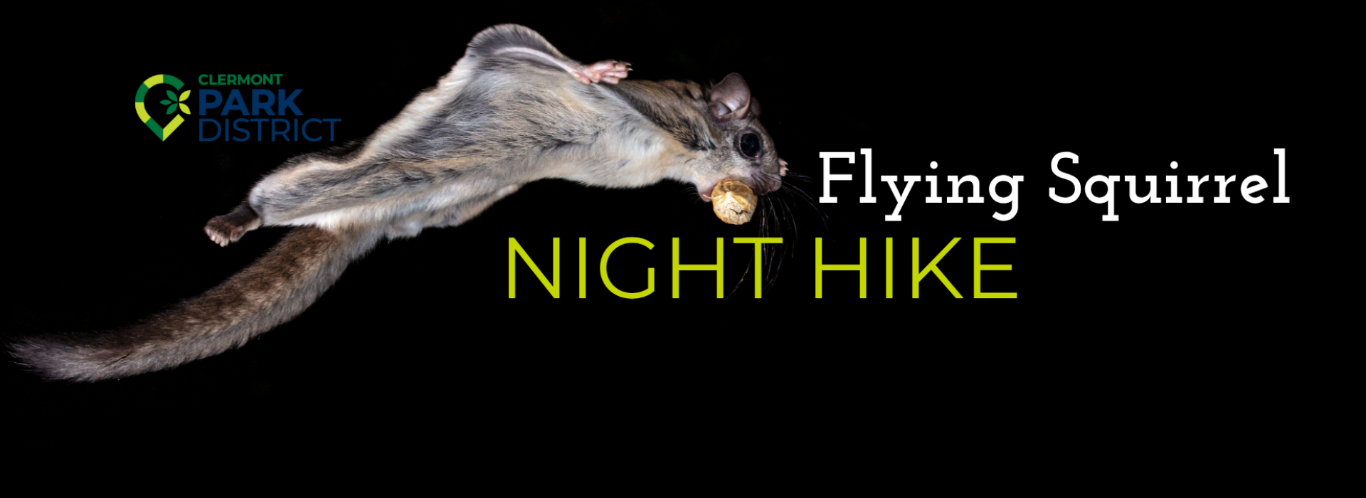 flying squirrel night hike